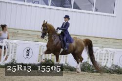 25R13_15505 thumbnail