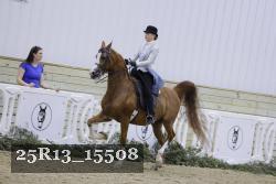 25R13_15508 thumbnail