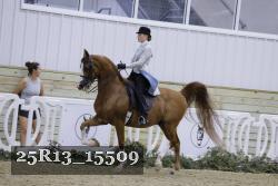 25R13_15509 thumbnail
