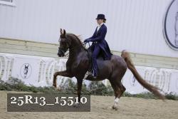 25R13_15510 thumbnail