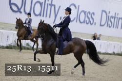 25R13_15511 thumbnail