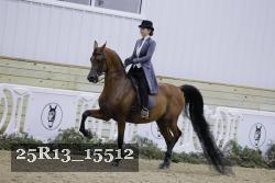 25R13_15512 thumbnail
