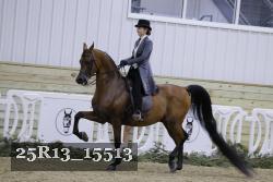 25R13_15513 thumbnail