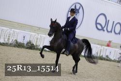 25R13_15514 thumbnail