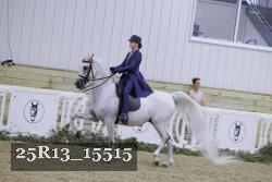 25R13_15515 thumbnail