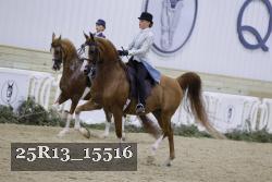 25R13_15516 thumbnail