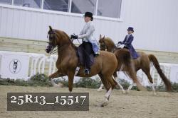 25R13_15517 thumbnail