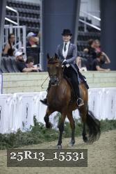 25R13_15531 thumbnail