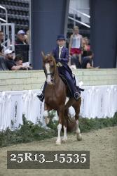 25R13_15535 thumbnail