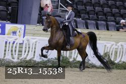 25R13_15538 thumbnail