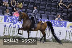 25R13_15539 thumbnail