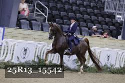 25R13_15542 thumbnail