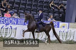 25R13_15543 thumbnail