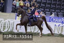 25R13_15544 thumbnail