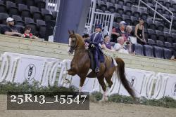 25R13_15547 thumbnail