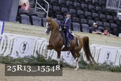 25R13_15548 thumbnail