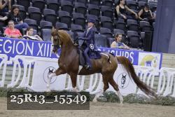 25R13_15549 thumbnail