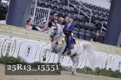 25R13_15551 thumbnail