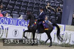 25R13_15553 thumbnail