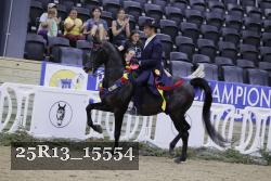 25R13_15554 thumbnail