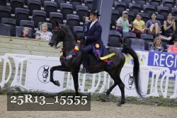 25R13_15555 thumbnail