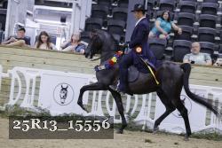 25R13_15556 thumbnail