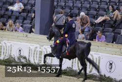 25R13_15557 thumbnail