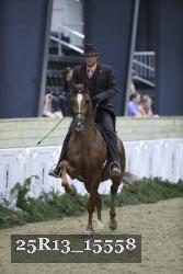 25R13_15558 thumbnail