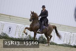 25R13_15560 thumbnail