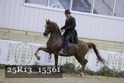 25R13_15561 thumbnail