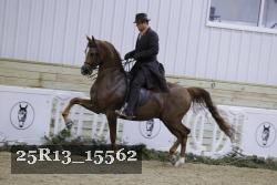 25R13_15562 thumbnail