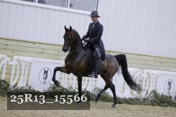25R13_15566 thumbnail