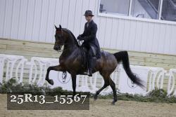 25R13_15567 thumbnail