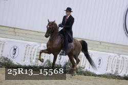 25R13_15568 thumbnail