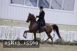 25R13_15569 thumbnail