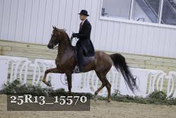 25R13_15570 thumbnail