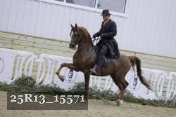 25R13_15571 thumbnail