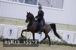 25R13_15572 thumbnail