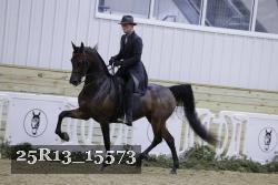 25R13_15573 thumbnail