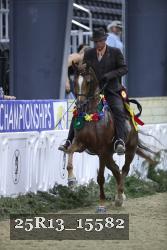 25R13_15582 thumbnail
