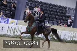 25R13_15584 thumbnail
