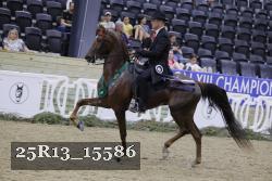 25R13_15586 thumbnail