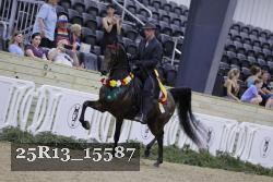25R13_15587 thumbnail