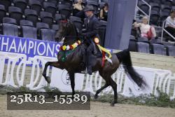 25R13_15589 thumbnail