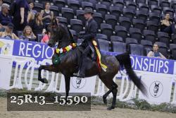 25R13_15590 thumbnail