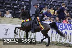 25R13_15591 thumbnail