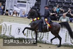 25R13_15592 thumbnail