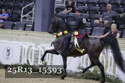 25R13_15593 thumbnail