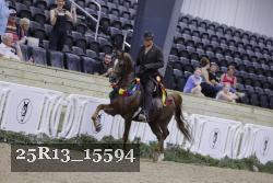 25R13_15594 thumbnail