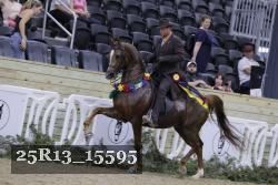 25R13_15595 thumbnail